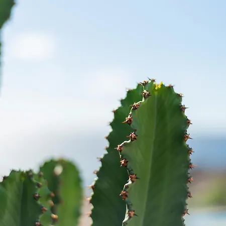 Penthouse Amarilla Golf - 7 Pools- Apartmán San Miguel de Abona