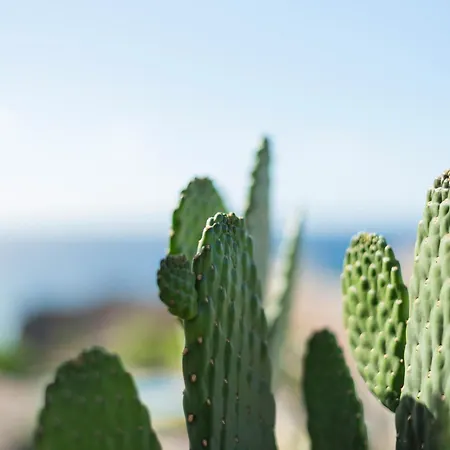 Apartmán Penthouse Amarilla Golf - 7 Pools- *