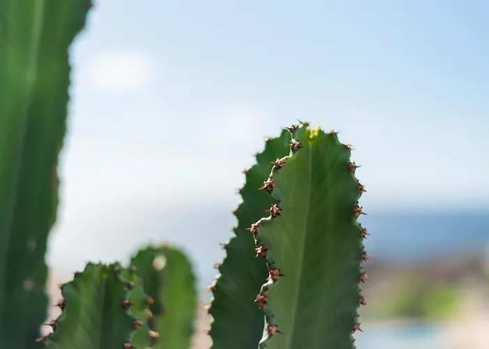 Penthouse Amarilla Golf - 7 Pools- Apartmán San Miguel de Abona