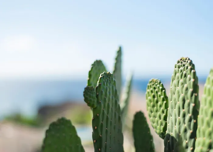 Apartmán Penthouse Amarilla Golf - 7 Pools- *